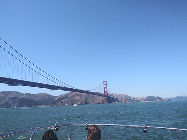 The Golden Gate Bridge 3