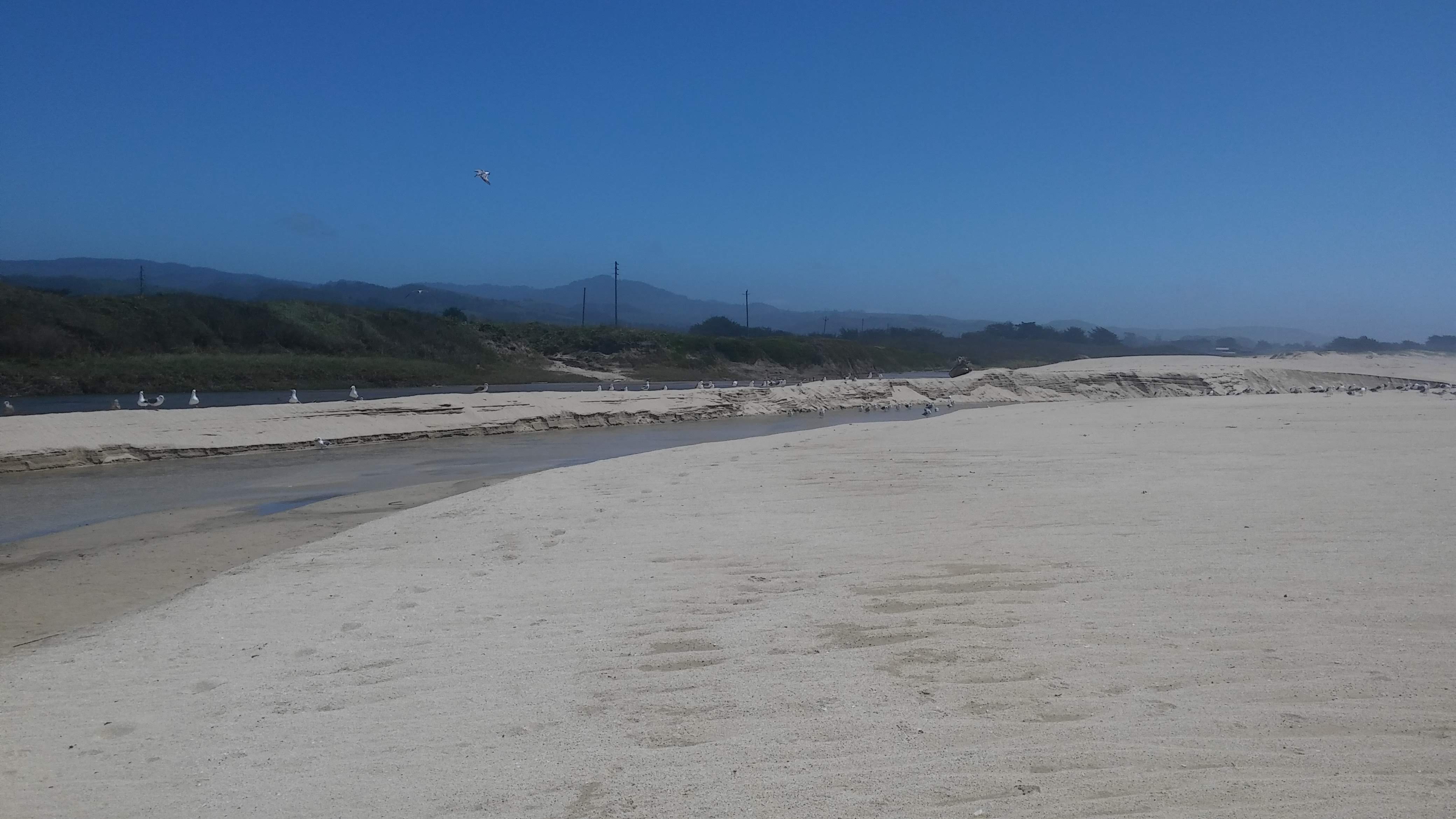 Sandy California Beach 4