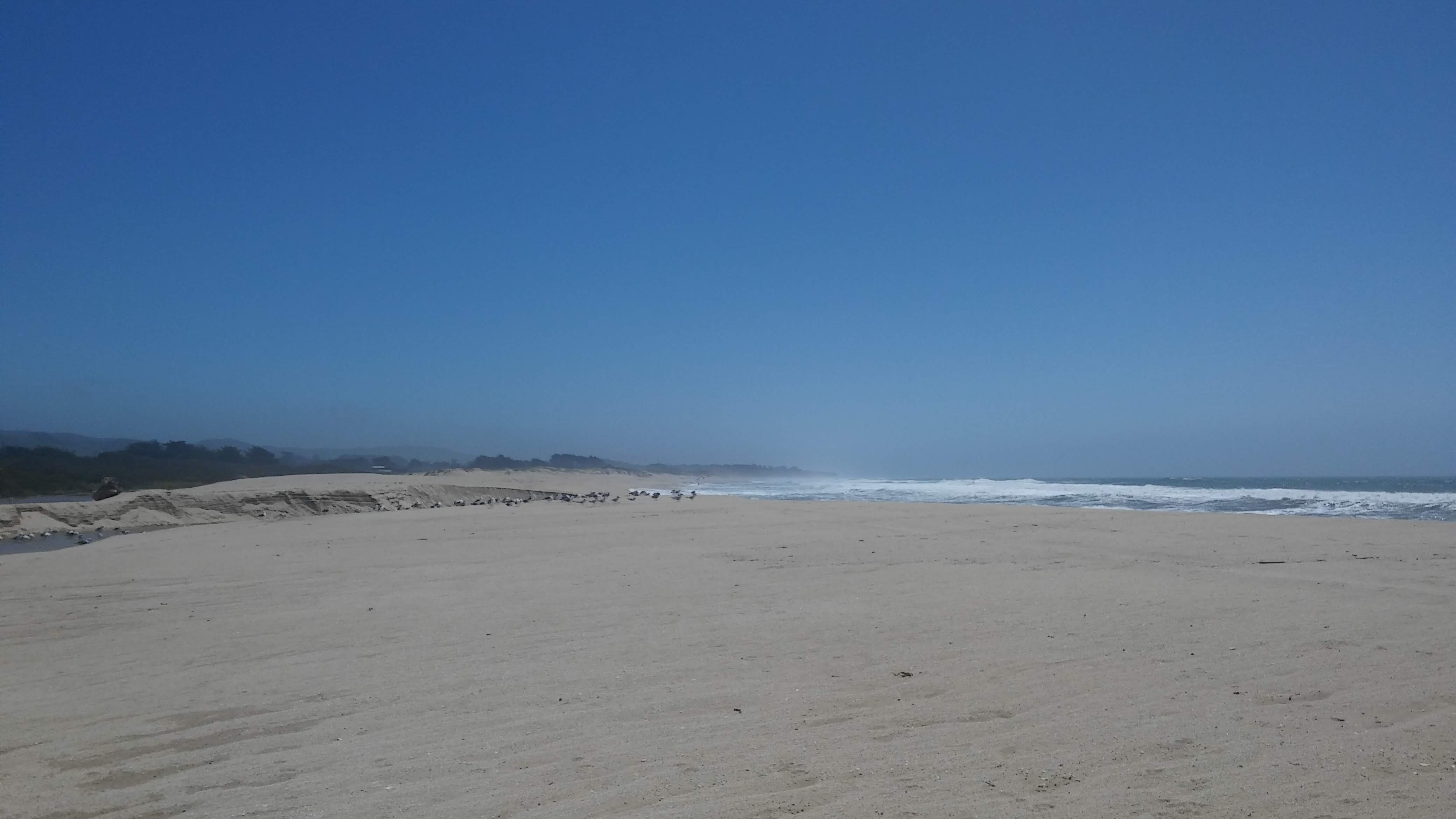 Sandy California Beach 5