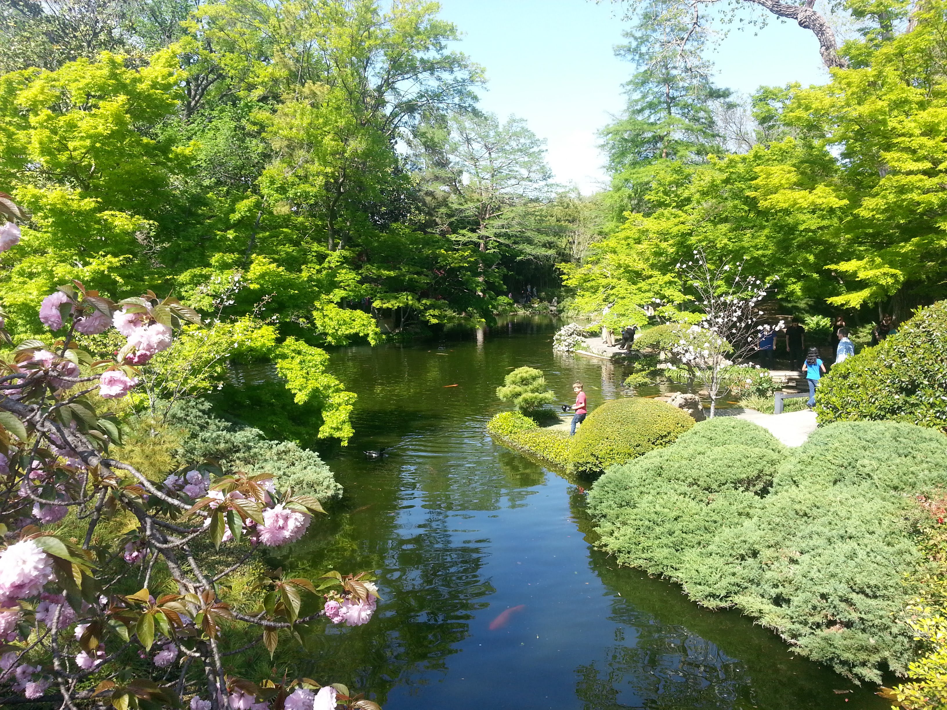 Japanese Tea Garden 11