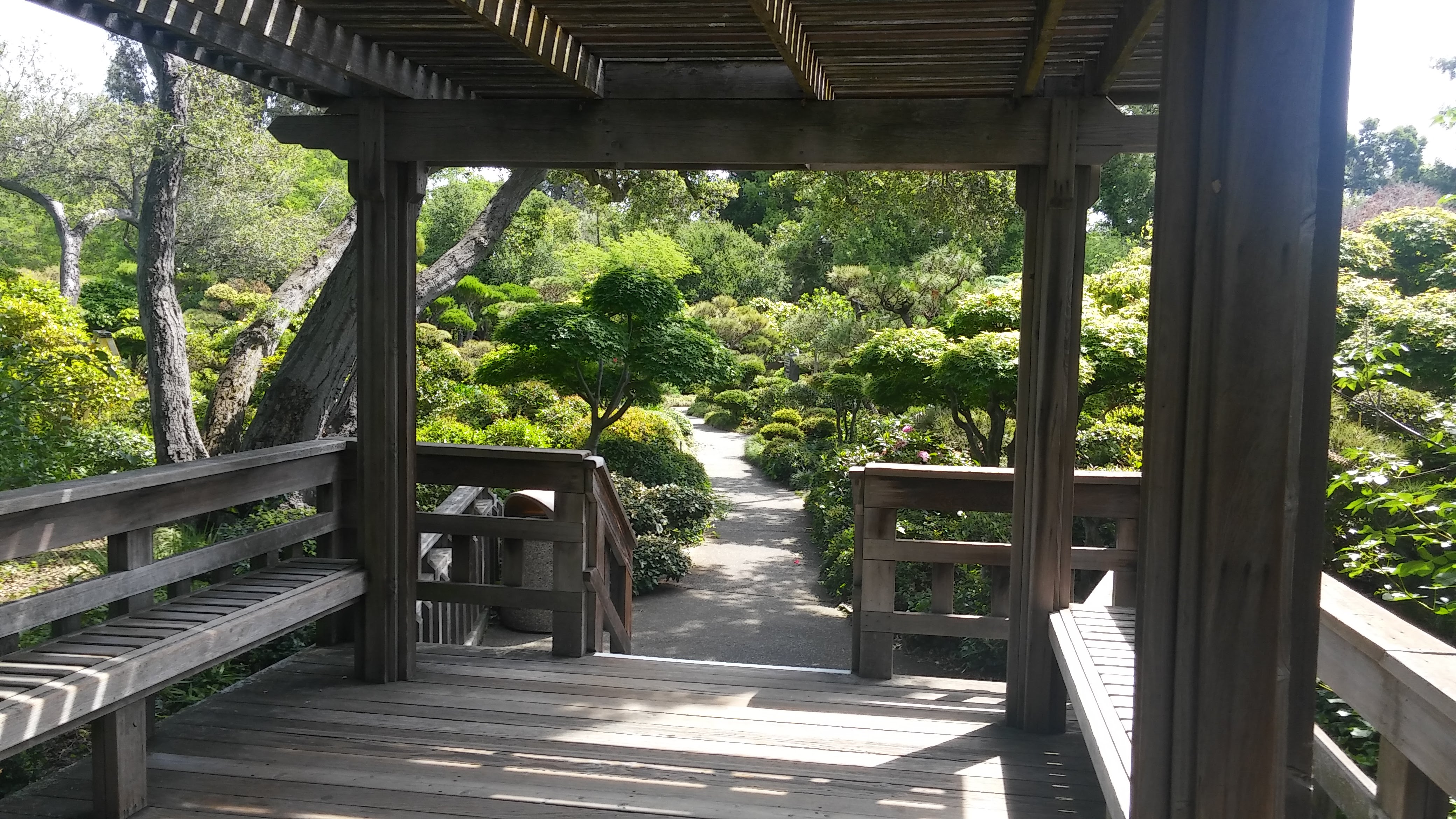 Japanese Tea Garden 3