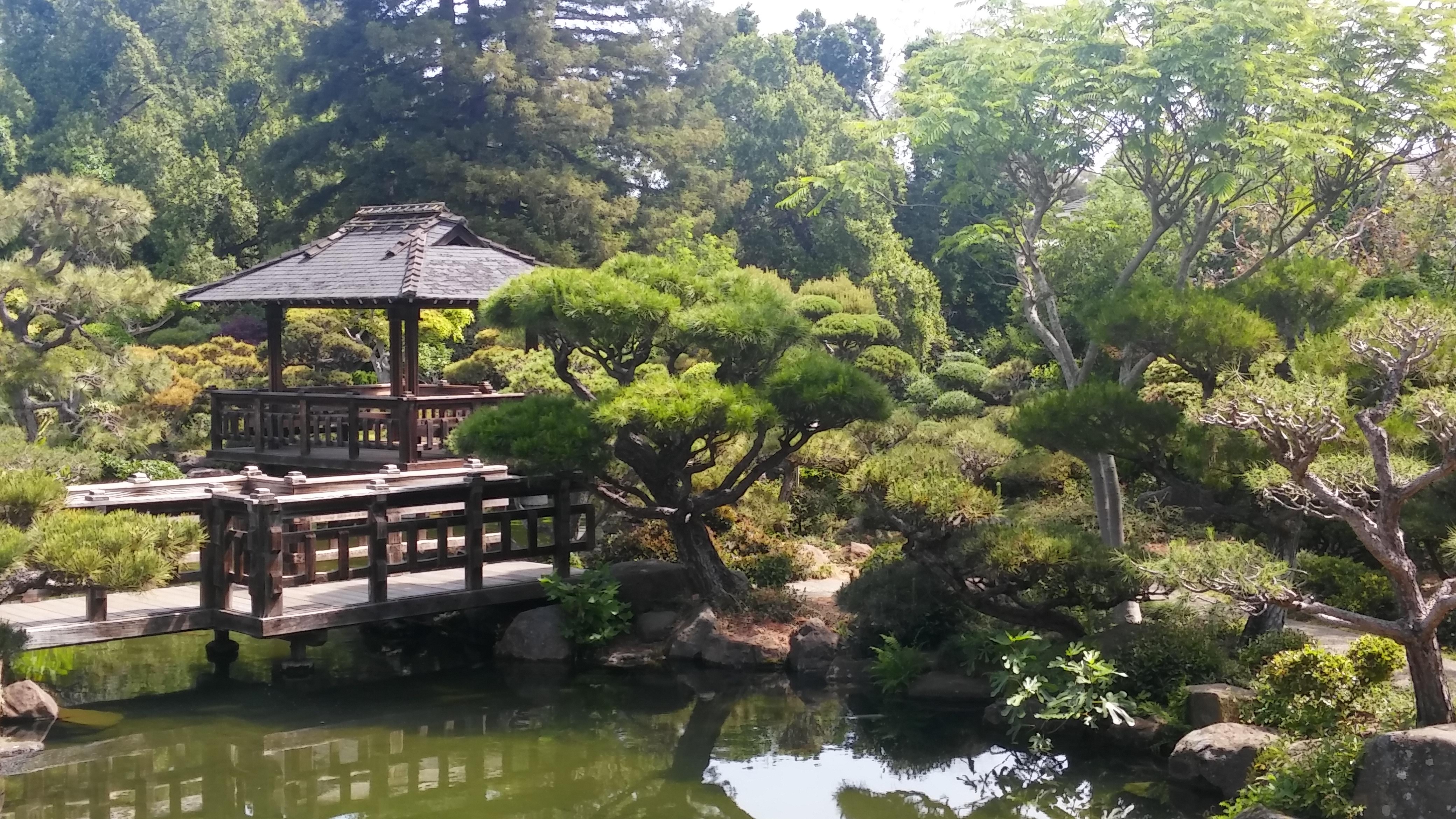 Japanese Tea Garden 22