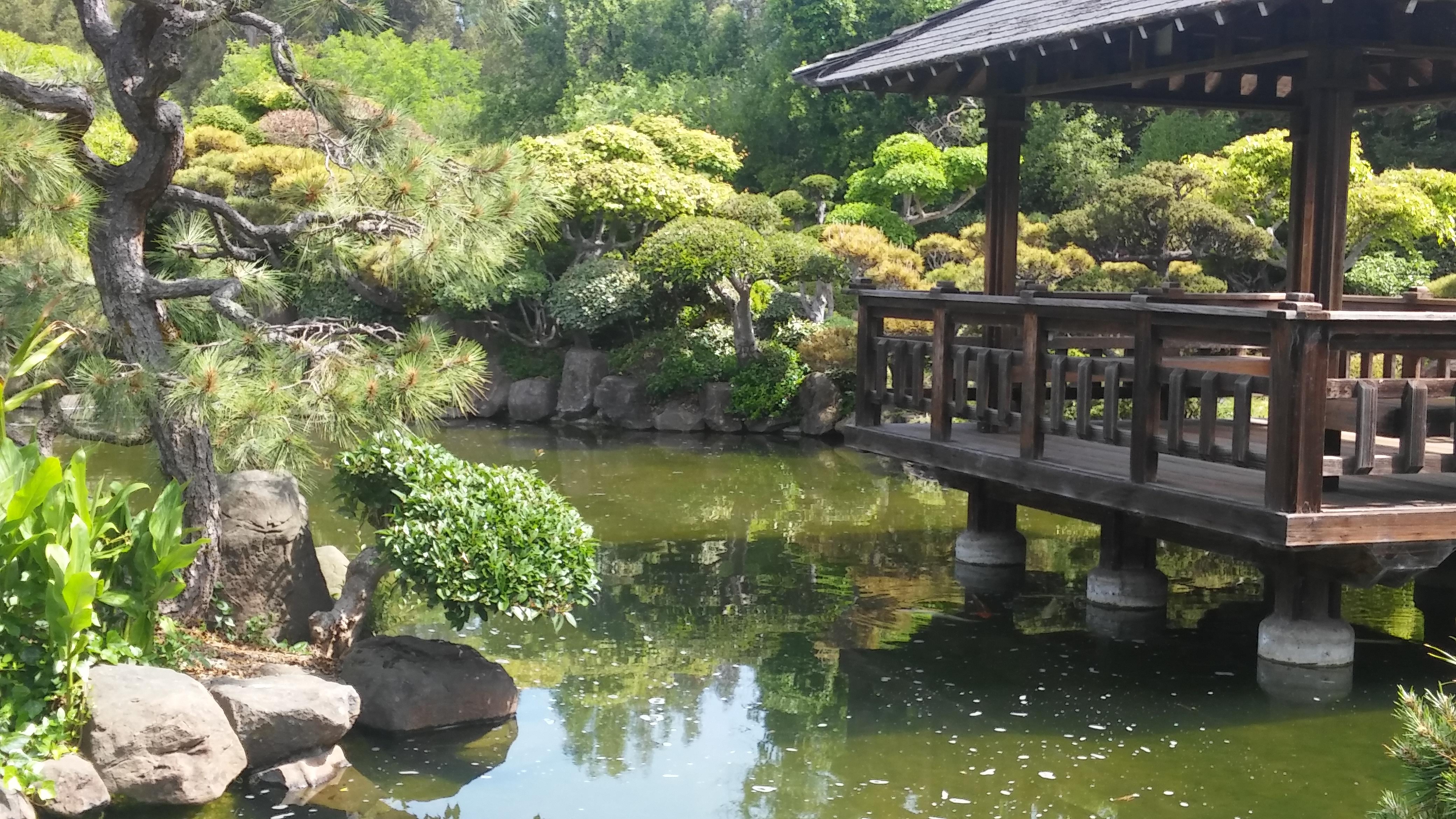 Japanese Tea Garden 20