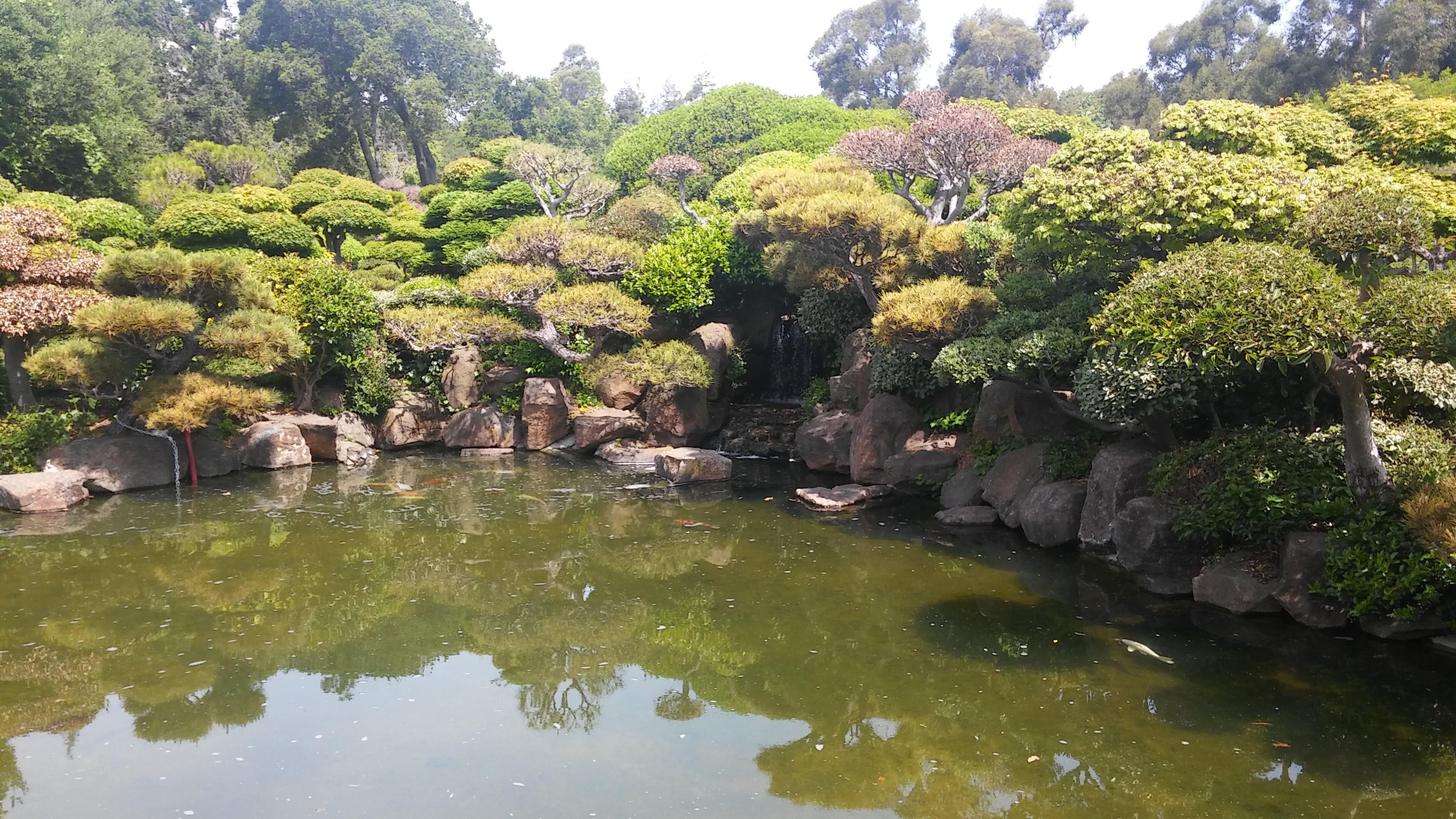 Japanese Tea Garden 18