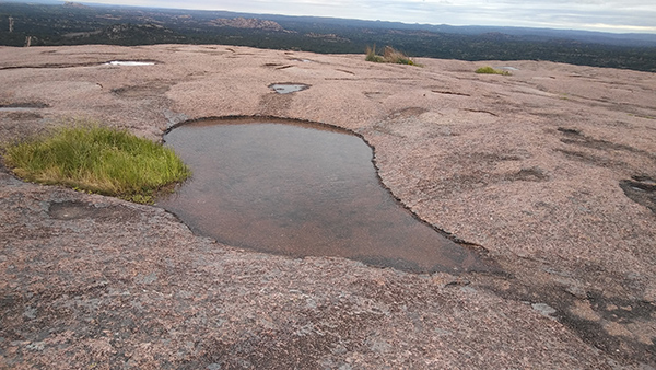 Pond in the rock sat Enchanted Rock