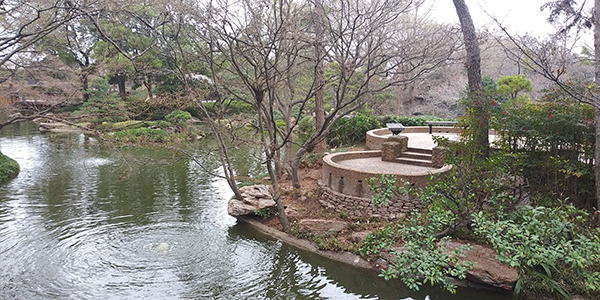A Japanese Tea Garden