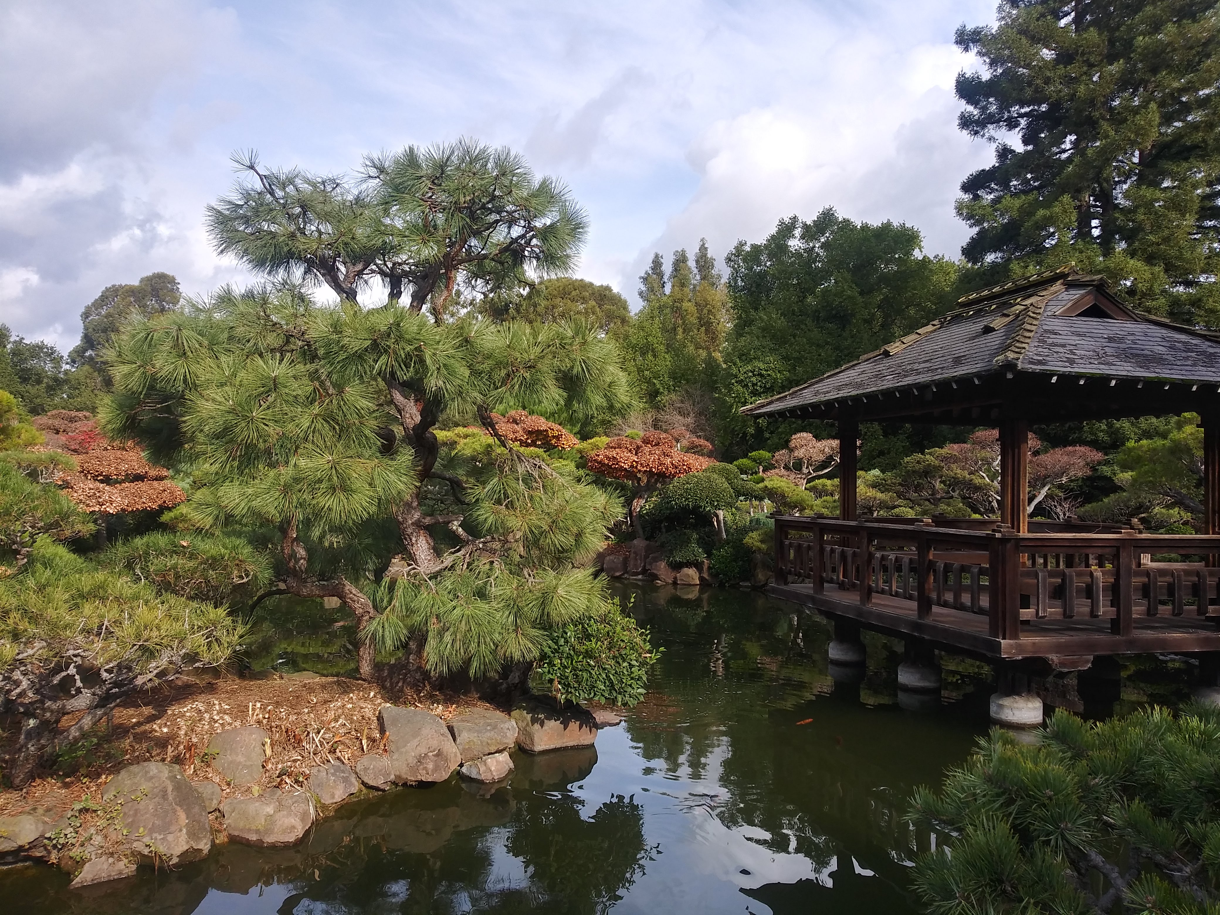 A Japanese Tea Garden