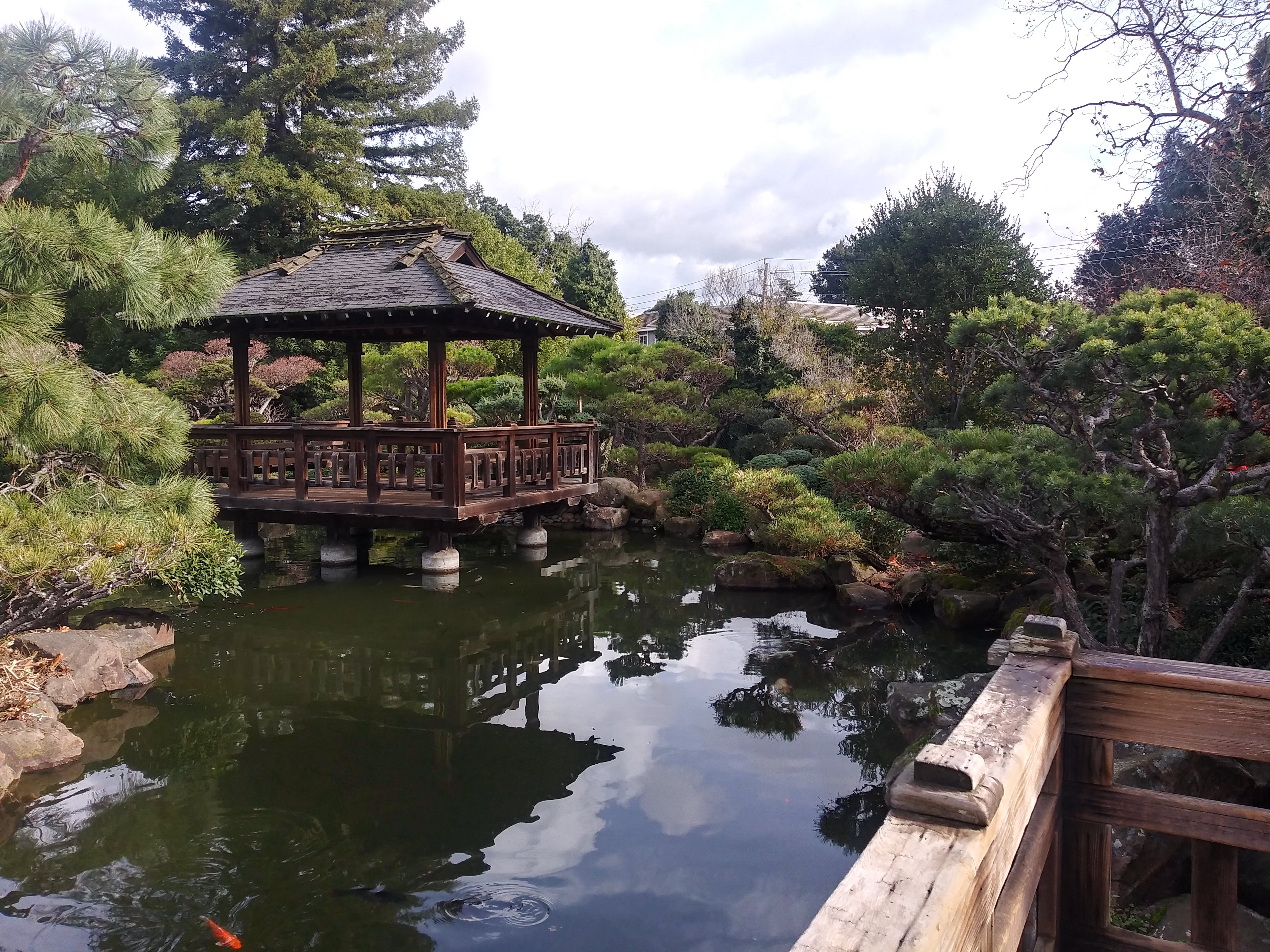 A Japanese Tea Garden 25