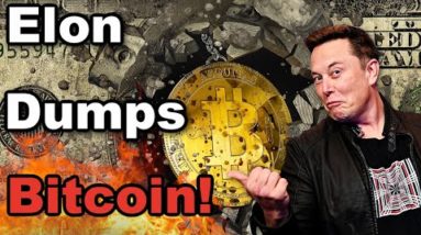 Elon Musk Is Scum! Elon Is Turning Cryptocurrency Into A Joke & Is Manipulating The Market