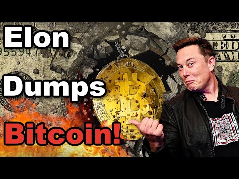 Elon Musk Is Scum! Elon Is Turning Cryptocurrency Into A Joke & Is Manipulating The Market