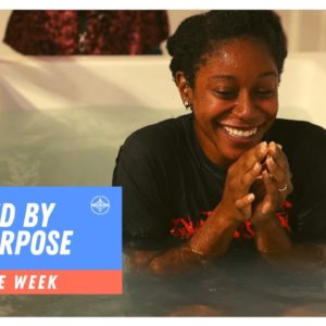 Energized by God's Purpose | Story of the Week