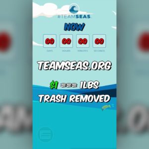 #TeamSeas - Let's Clean up our Oceans!! 🌊 #Shorts