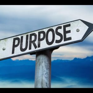 Purpose - What this word means to me