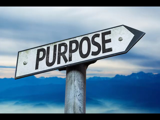 Purpose - What this word means to me