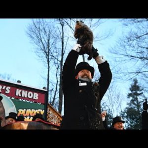 Punxsutawney Phil Predicts Six More Weeks Of Winter During Groundhog Day Celebration