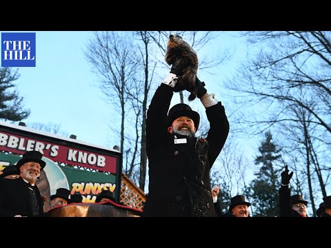 Punxsutawney Phil Predicts Six More Weeks Of Winter During Groundhog Day Celebration