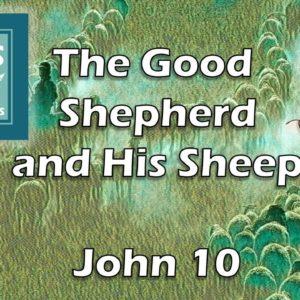 The Good Shepherd and Hs Sheep | John 10 - Jesus Speaks