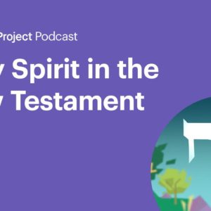 Holy Spirit in the New Testament • Holy Spirit E3