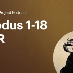 Exodus 1-18 Q+R • Torah Q+R Ep. 3