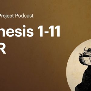Genesis 1-11: Q+R • Torah Q+R Ep. 1