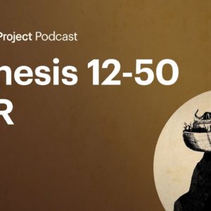 Genesis 12-50 Q+R • Torah Ep. 2